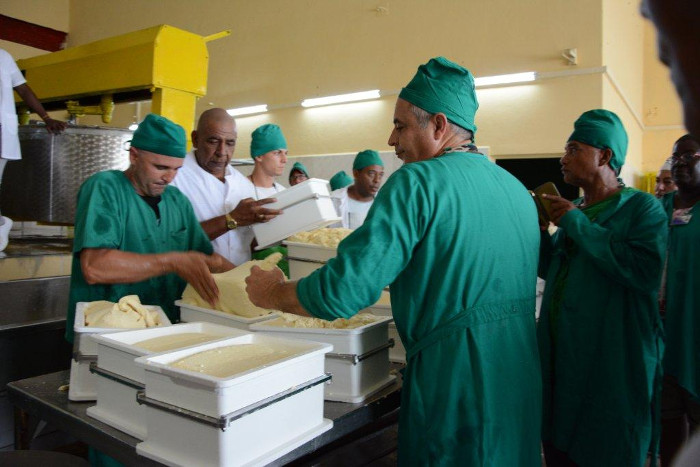 Fotos: Otilio Rivero Delgado/ Adelante Generalizar buenas prácticas en producción de queso