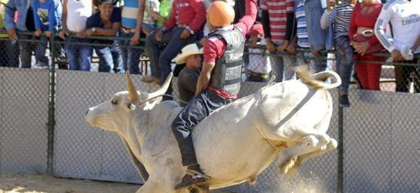 Inició en Camagüey Campeonato Provincial de Rodeo