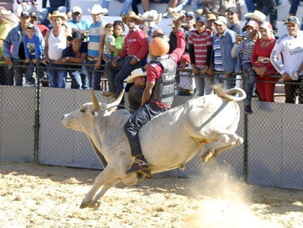Foto: Tomada de radiocadenagramonte.cu  Inició en Camagüey Campeonato Provincial de Rodeo
