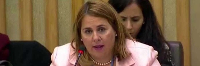 Cuba reitera solidaridad con la causa de Palestina