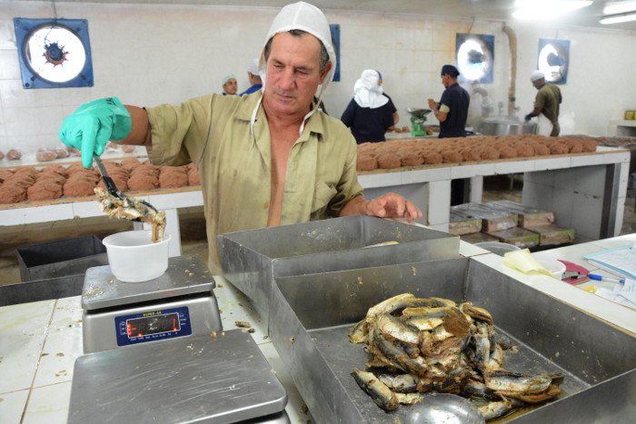 Fotos: Otilio Rivero Delgado/ Adelante Más allá del mar