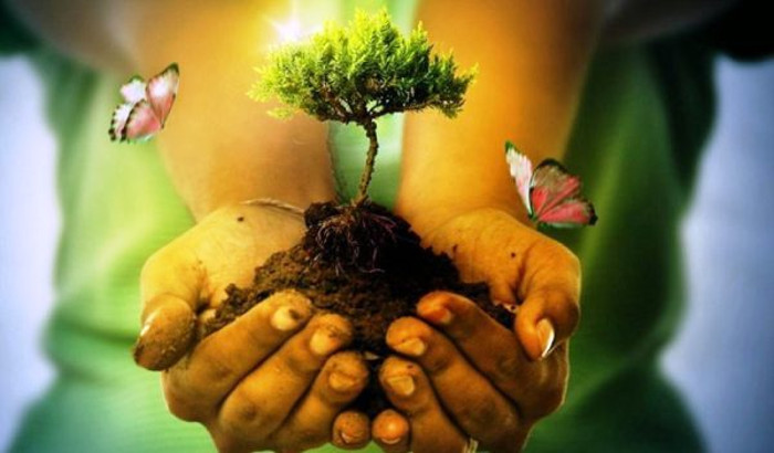 Foto: Archivo Camagüey will have a Butterfly Park