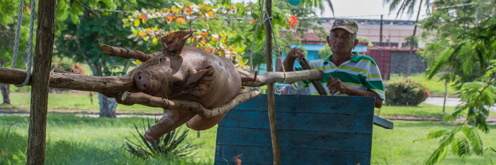 Se empeña Camagüey en mantener vivas tradiciones campesinas