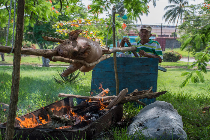 Fotos: Leandro Pérez Pérez/ Adelante Se empeña Camagüey en mantener vivas tradiciones campesinas