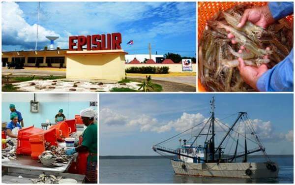 Collage: Tomado de www.radiosantacruz.icrt.cu Industria pesquera santacruceña vanguardia nacional por segunda vez