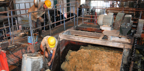  Camagüey se prepara para próxima zafra azucarera