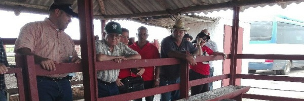 Visita Rosales del Toro unidades productoras de alimentos en Camagüey (+ Fotos)