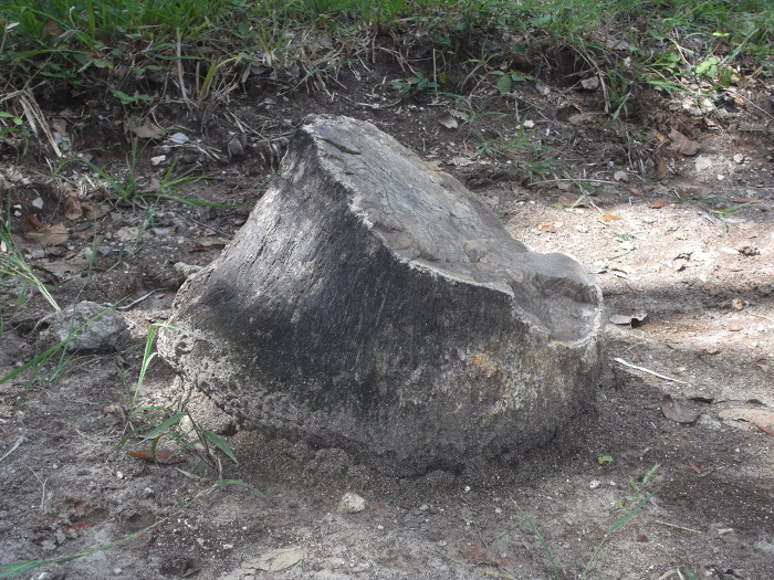 Cuba: Sitios geológicos evidencian preservación ambiental