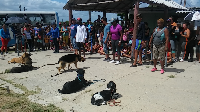 La técnica canina del Inder demostró en Nuevitas cuáles fueron las habilidades que los hicieron ganadores de varios premios en competencias a nivel nacional.