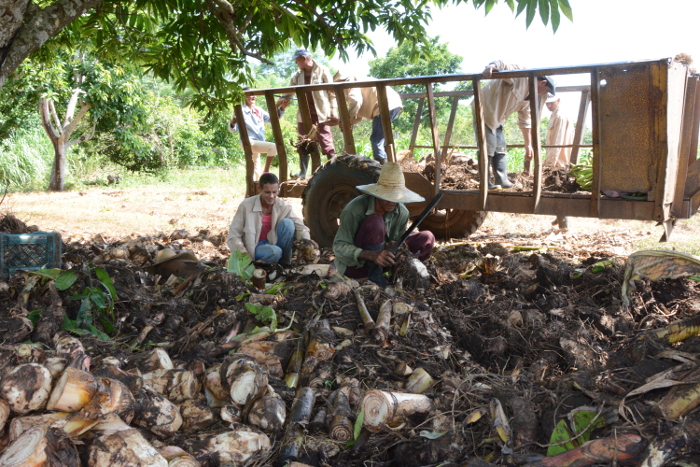 La semilla es lo primero