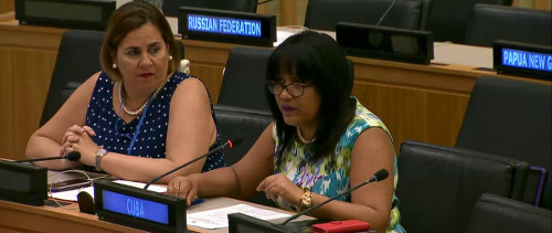 Embajadora cubana en Naciones Unidas destaca proceso de consulta constitucional