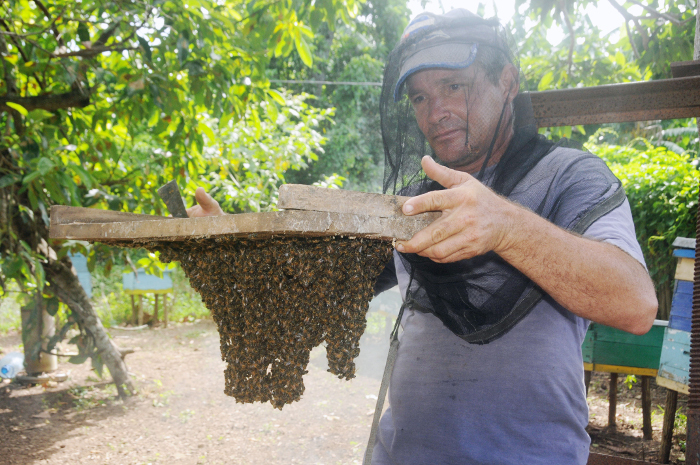 El dulce cambio de la vida de Baicel