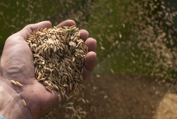 Foto: Leandro Pérez Pérez/Adelante/Archivo