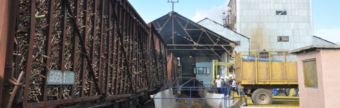 Recuperación cañera y agropecuaria de Camagüey