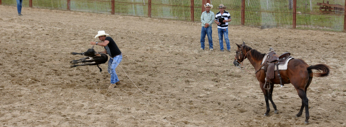 Desde el miércoles: Triangular de Rodeo en Camagüey