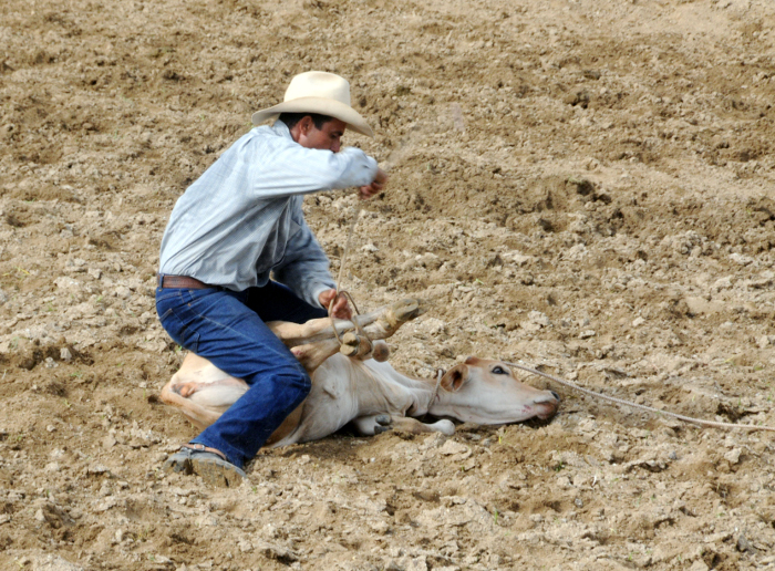 Trunca por lluvia Triangular de Rodeo en Camagüey