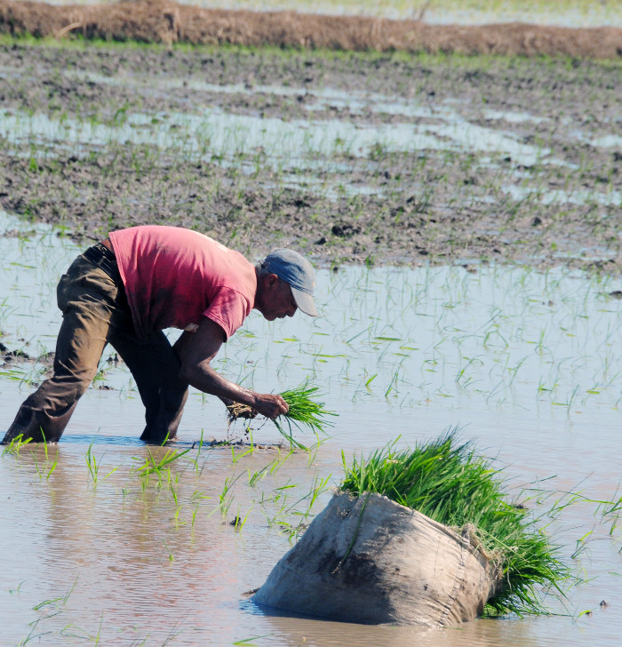 Camagüey será beneficiada con nueva etapa de Proyecto Viet Nam-Cuba