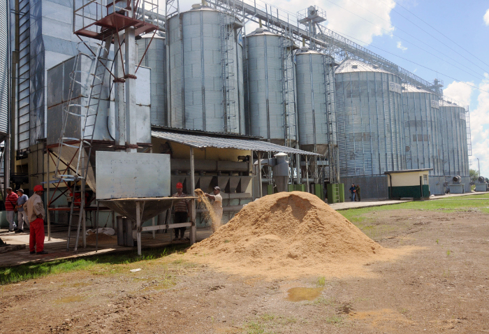 Funciona en Camagüey secadero de arroz más moderno de Cuba