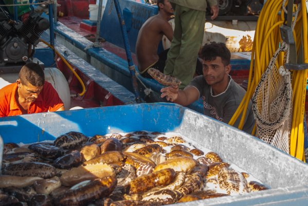 Fotos: Leandro Pérez Pérez/Adelante