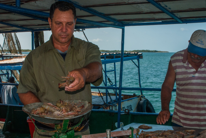 Foto: Leandro Pérez Pérez/Adelante/Archivo Empresa Pesquera de Santa Cruz del Sur cumple plan de captura