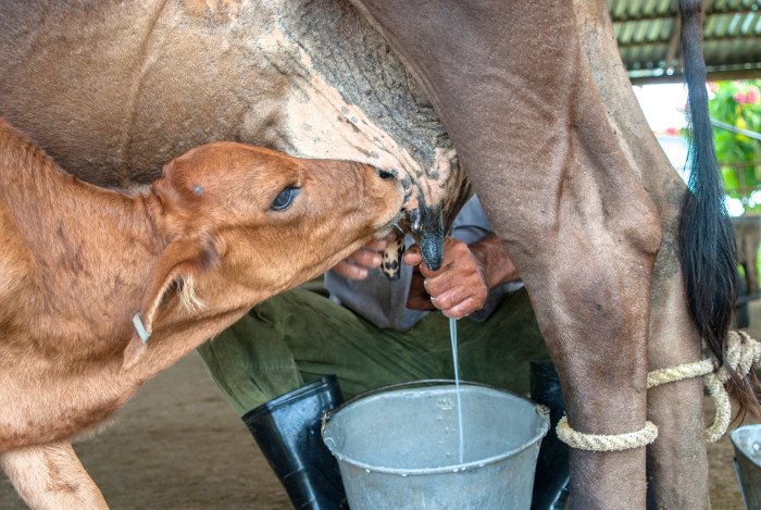 Foto: Leandro Pérez Pére/Adelante La cooperativa Álvaro Barba se estrena como millonaria