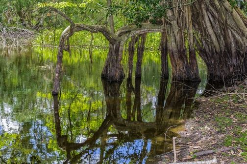Foto: Rodolfo Rivero Zaurín/Segundo premio en Paisaje, Bioencuadre 2018