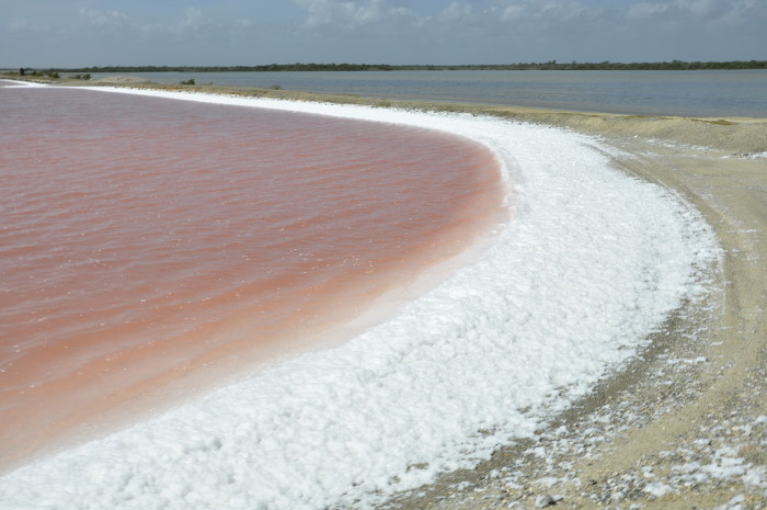 Foto: Otilio Rivero Delgado/ Adelante/ Archivo Prevé Salina El Real cumplimiento de sus planes al terminar 2018