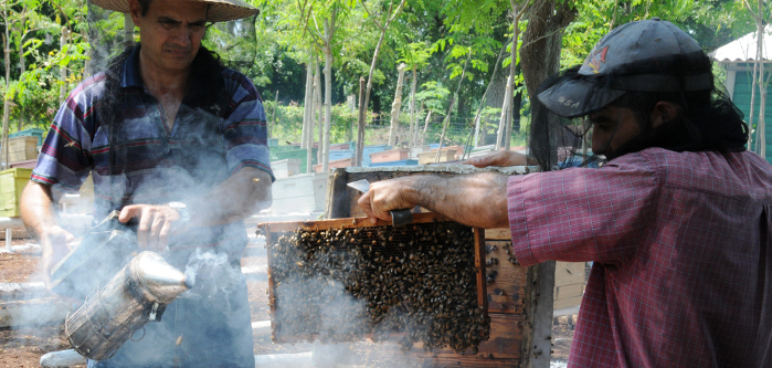 Exportaciones camagüeyanas aportan más de 76 millones de dólares