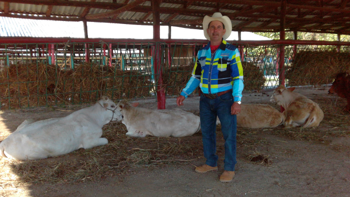 Foto: De la autora Premiados en feria internacional terneros de embrión congelado