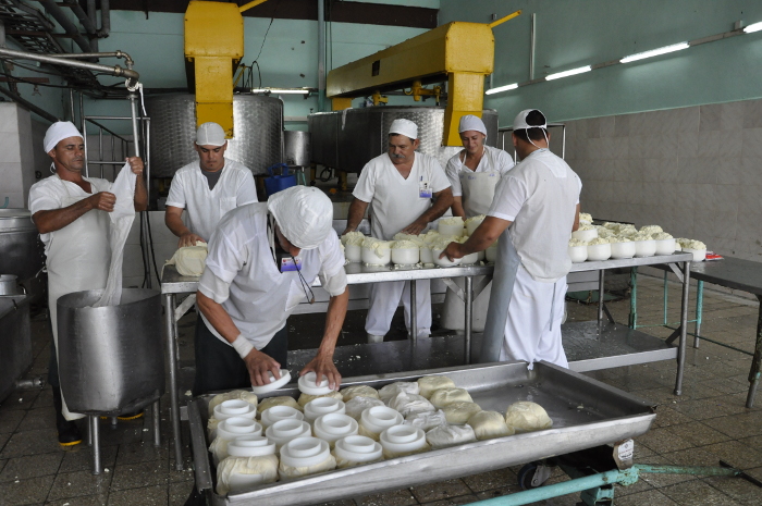 Recuerdan a Fidel desde la trinchera de la producción