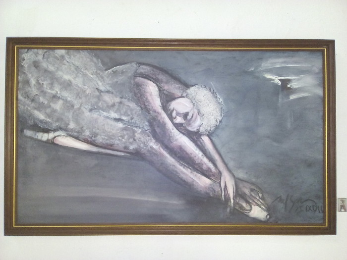 Alto vuelo II. Fotos: Del autor  Esencias de una amiga