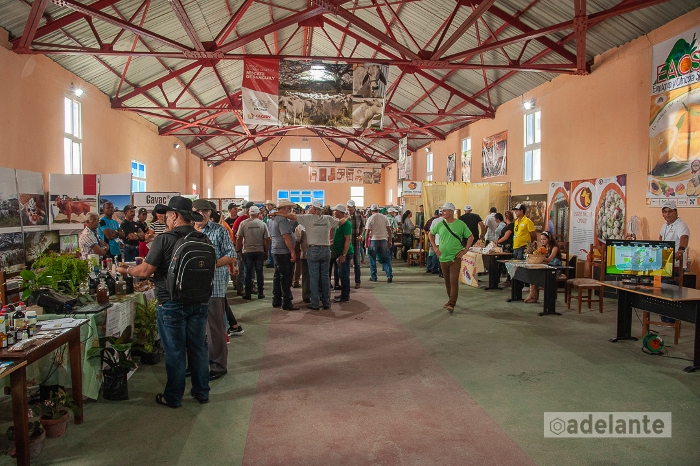 Fotos: Leandro Pérez Pérez/Adelante Acontece en Camagüey primera Expo-Feria de Semillas