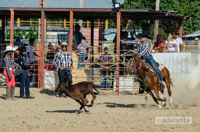 Fotos: Leandro Pérez Pérez/Adelante Rodeo a la camagüeyana