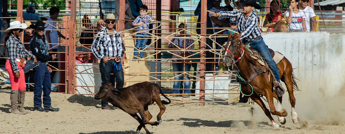 Rodeo a la camagüeyana