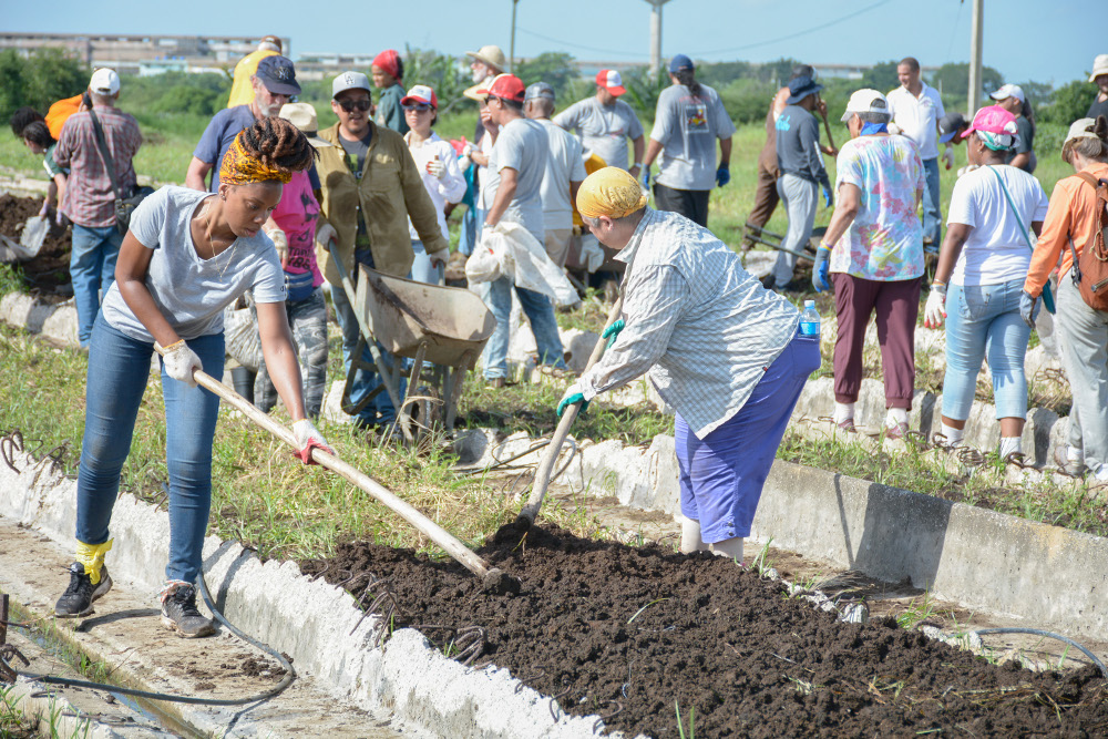 Fotos: Alejandro Rodríguez Leiva/ Adelante Brigadistas norteamericanos retribuyen solidaridad de Cuba en Camagüey
