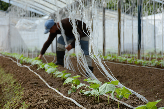Foto: Leandro Pérez Pérez/ Adelante/ Archivo Relevantes resultados de la ciencia en Camagüey al cierre de 2019