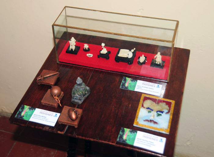 Proyecto Colibrí festejó su décimo cumpleaño