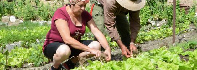  Camagüeyana reconocida por sus resultados en prácticas agroecológicas