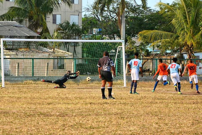 Fotos: Del autor Miuras pactan la paz en casa