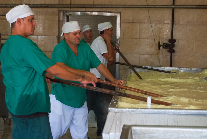 Foto: Leandro Pérez Pérez/Adelante Sustituye importaciones industria láctea con producción de cuajo criollo