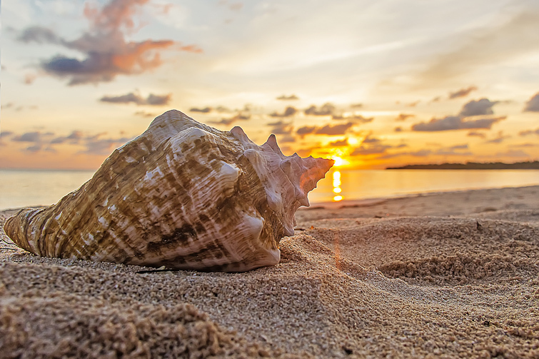 Foto:  Cortesía de César Prado García