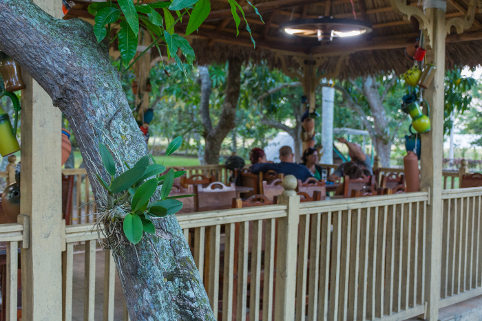 Photo: Leandro Pérez Pérez/Adelante Local development projects are enhanced in Camagüey
