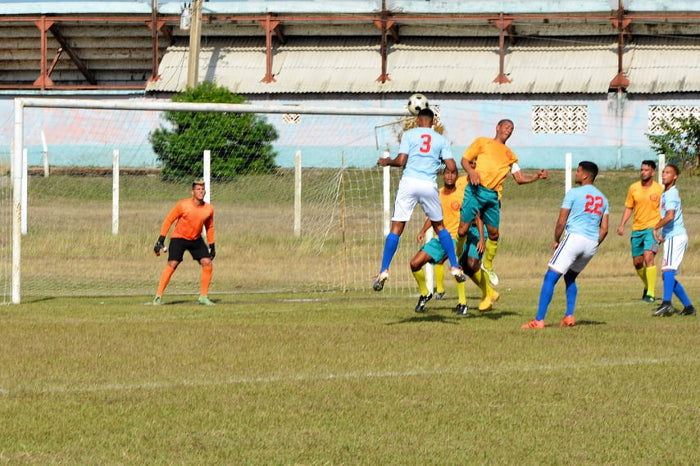 Foto: Del Autor Miuras flotan a mitad de tabla