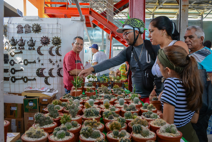 Para el amor, Oasis de 500 +