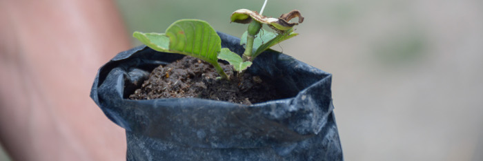En Florida, debate de buenas prácticas agroecológicas