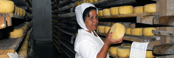 90 toneladas de queso en vísperas del 30 