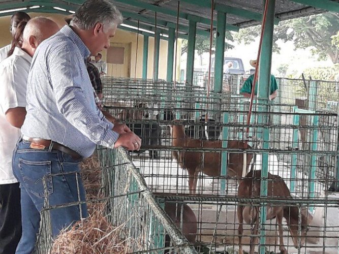 Foto: @apppcamaguey/Twitter