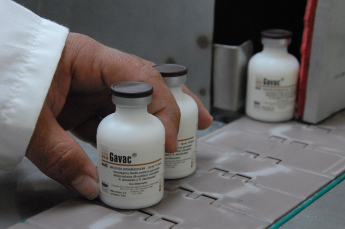La Vacuna Porvac contra el cólera porcino tiene potencialidades para la exportación, entre otros rublos. Foto: Otilio Rivero Delgado/Adelante/Archivo Cuenta Camagüey con 16 productos exportables