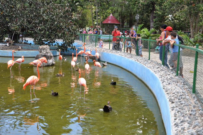 Foto: Otilio Rivero Delgado/ Adelante/ Archivo El zoológico al alcance del verano/ camaguey
