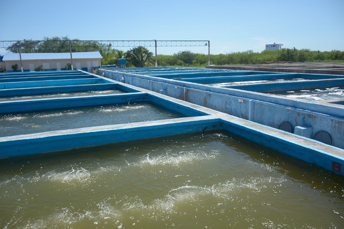 Foto: Alejandro Rodríguez Leiva/ Adelante ¿A quién le duele? (+Infografía, post, tweets y videos)